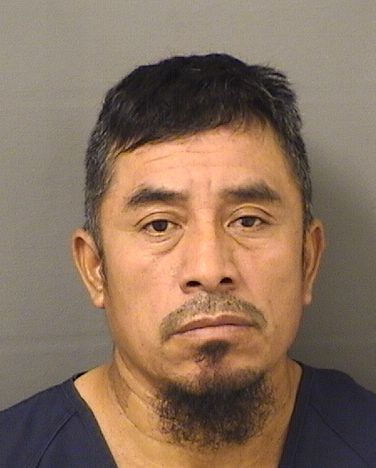  PEDRO LUNES HERNANDEZ Results from Palm Beach County Florida for  PEDRO LUNES HERNANDEZ