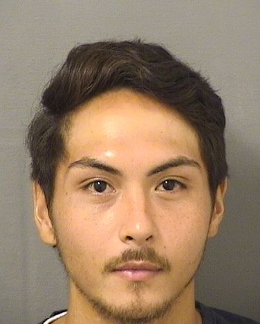  BENJAMIN THOMAS STARNES Results from Palm Beach County Florida for  BENJAMIN THOMAS STARNES