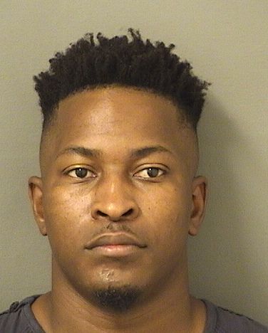  DIEGO ULYSSE Results from Palm Beach County Florida for  DIEGO ULYSSE