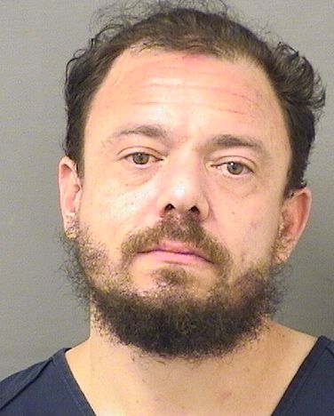  DANIEL SCHULTE Results from Palm Beach County Florida for  DANIEL SCHULTE