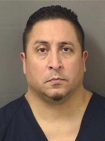  ANDRES MAURICIO VALENCIA Resultados de la busqueda para Palm Beach County Florida para  ANDRES MAURICIO VALENCIA