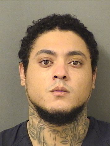  MICHAEL FERNANDEZ Photo For  MICHAEL FERNANDEZ