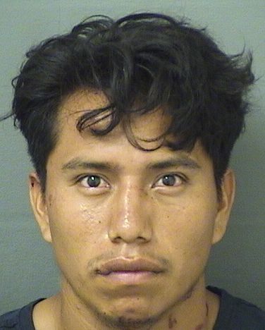 ROLANDO SEBASTIANPASCUAL Results from Palm Beach County Florida for ROLANDO SEBASTIANPASCUAL ROLANDO SEBASTIANPASCUAL Results from Palm Beach County Florida for ROLANDO SEBASTIANPASCUAL