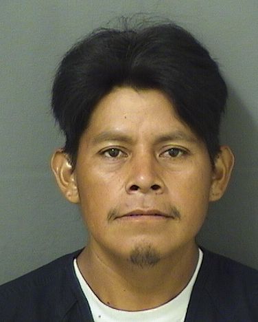  ALEJANDRO FRANCISCO Photo For  ALEJANDRO FRANCISCO