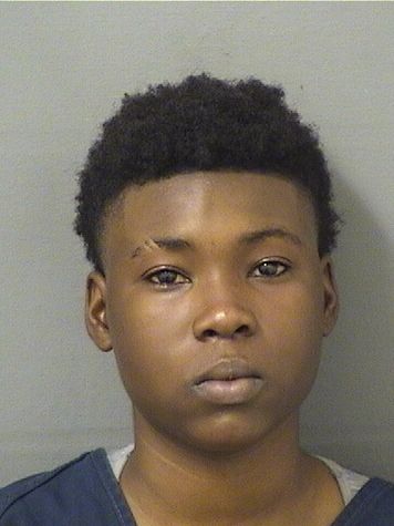  ANIYAH JALINE JOHNSON Results from Palm Beach County Florida for  ANIYAH JALINE JOHNSON