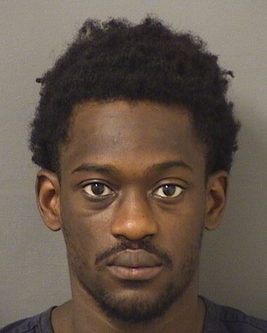  JEAN A PHILISTIN Resultados de la busqueda para Palm Beach County Florida para  JEAN A PHILISTIN