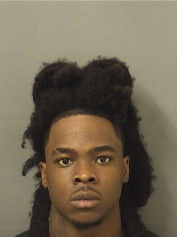  REGINALD DORMEUS Results from Palm Beach County Florida for  REGINALD DORMEUS