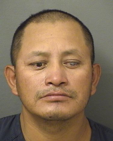  ERNESTO MENDEZDIAZ Results from Palm Beach County Florida for  ERNESTO MENDEZDIAZ