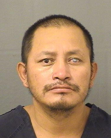 ERNESTO MENDEZDIAZ Results from Palm Beach County Florida for ERNESTO MENDEZDIAZ ERNESTO MENDEZDIAZ Results from Palm Beach County Florida for ERNESTO MENDEZDIAZ