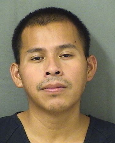  ELMER RODRIGO CARDONACARDONA Results from Palm Beach County Florida for  ELMER RODRIGO CARDONACARDONA