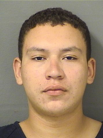  ANTONY DAVID OYAGAGALINDO Results from Palm Beach County Florida for  ANTONY DAVID OYAGAGALINDO