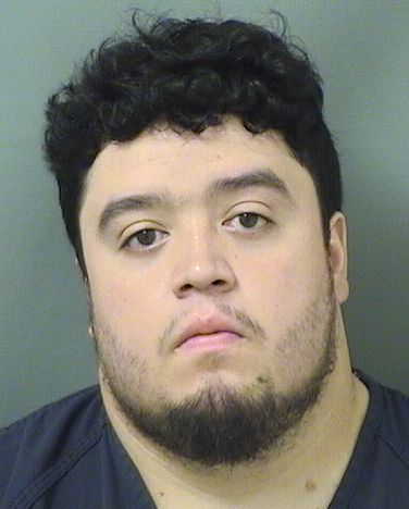 MICHAEL GRAMAJO PALENCIA Results from Palm Beach County Florida for  MICHAEL GRAMAJO PALENCIA