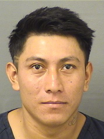  BERSAIN GOMEZCRUZ Resultados de la busqueda para Palm Beach County Florida para  BERSAIN GOMEZCRUZ