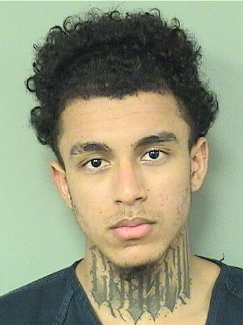  JOSE CASTRO Results from Palm Beach County Florida for  JOSE CASTRO