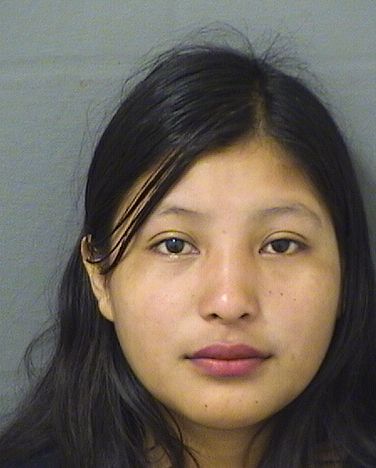  MARIA DELCARMEN DOMINIGOJIMENEZ Results from Palm Beach County Florida for  MARIA DELCARMEN DOMINIGOJIMENEZ