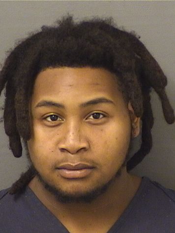  LOUIS DAVID JOHNSON Results from Palm Beach County Florida for  LOUIS DAVID JOHNSON