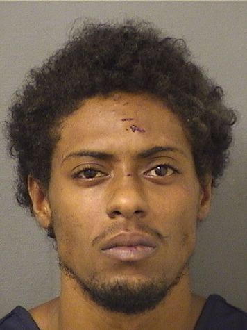  MAHKAI HAMILTON WILSON Results from Palm Beach County Florida for  MAHKAI HAMILTON WILSON