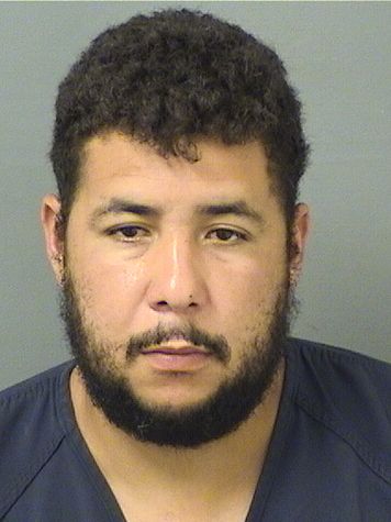  NERVIS ELOY RIVAS Results from Palm Beach County Florida for  NERVIS ELOY RIVAS