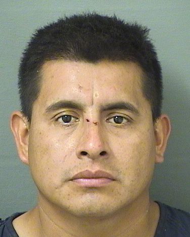  PEDRO TORRESSANCHEZ Resultados de la busqueda para Palm Beach County Florida para  PEDRO TORRESSANCHEZ