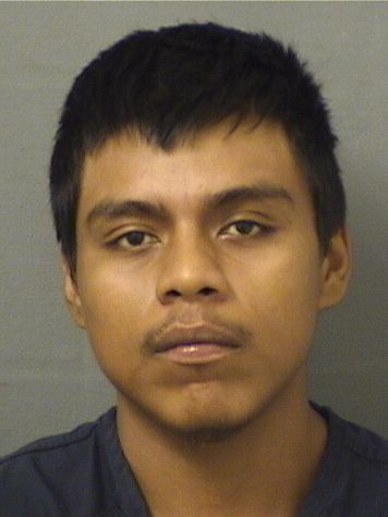  ALEJANDRO FERNANDO VALENCIA Results from Palm Beach County Florida for  ALEJANDRO FERNANDO VALENCIA