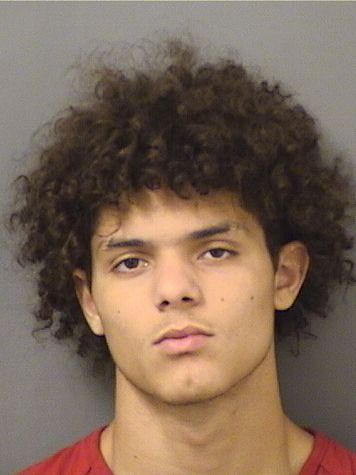  DALANI MICHAELJAMES MILLSON Results from Palm Beach County Florida for  DALANI MICHAELJAMES MILLSON