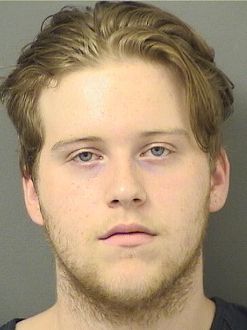  ALEXANDER MONGENE Results from Palm Beach County Florida for  ALEXANDER MONGENE