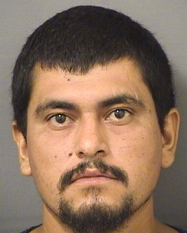  JUAN FRANCISCO REYESBELLO Resultados de la busqueda para Palm Beach County Florida para  JUAN FRANCISCO REYESBELLO