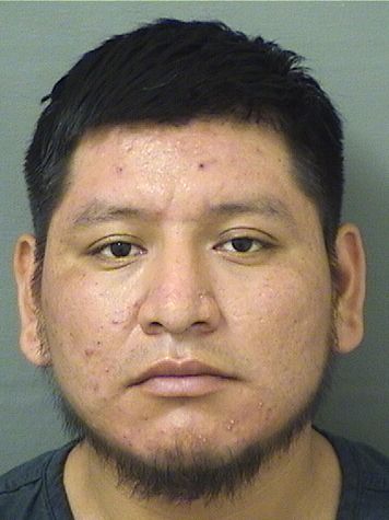  MARIO DOMINGOORTEZE Photo For  MARIO DOMINGOORTEZE