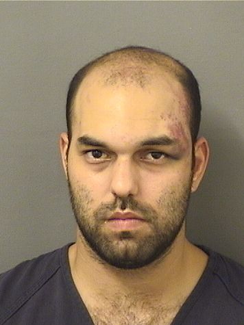  ANDREW ELNOMANY Results from Palm Beach County Florida for  ANDREW ELNOMANY