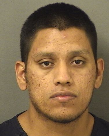  BRAYAN SEBASTIAN OJEDAGARNICA Resultados de la busqueda para Palm Beach County Florida para  BRAYAN SEBASTIAN OJEDAGARNICA