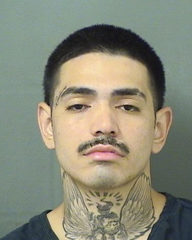  DOMINIC X RAMOS Results from Palm Beach County Florida for  DOMINIC X RAMOS