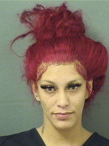  ANGELICA MARIE LOPEZ Resultados de la busqueda para Palm Beach County Florida para  ANGELICA MARIE LOPEZ