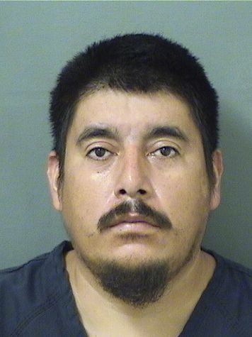  ROSENDO FEDERICO VILLATOROALVARADO Results from Palm Beach County Florida for  ROSENDO FEDERICO VILLATOROALVARADO