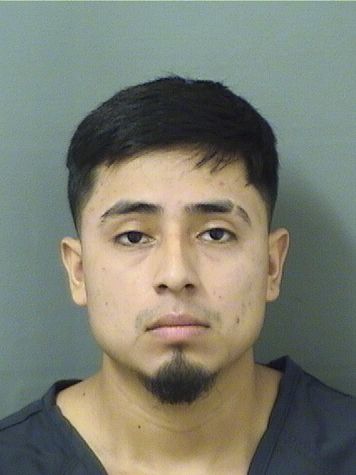 MARIO ANTONIO MENDEZHERNANDEZ Results from Palm Beach County Florida for MARIO ANTONIO MENDEZHERNANDEZ MARIO ANTONIO MENDEZHERNANDEZ Results from Palm Beach County Florida for MARIO ANTONIO MENDEZHERNANDEZ