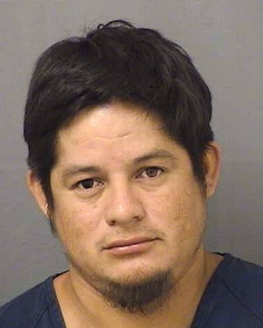  SANTOS J AVILEZLOPEZ Results from Palm Beach County Florida for  SANTOS J AVILEZLOPEZ