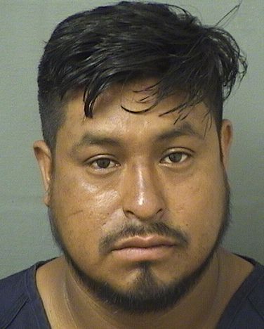  SANTOS GREGORIO VELASQUEZROBLERO Results from Palm Beach County Florida for  SANTOS GREGORIO VELASQUEZROBLERO