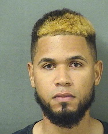  JOHANDY LEONARDO SOSAPICHARDO Results from Palm Beach County Florida for  JOHANDY LEONARDO SOSAPICHARDO