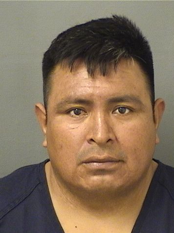  ERWIN CECILIO LOPEZRAMIREZ Results from Palm Beach County Florida for  ERWIN CECILIO LOPEZRAMIREZ