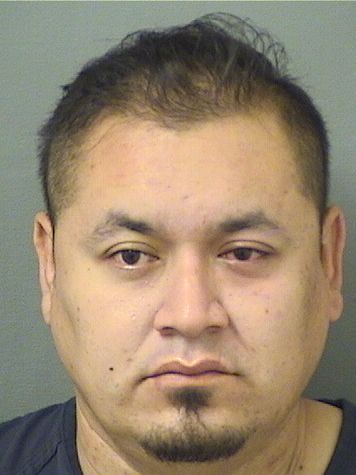  PAUL GILBERT MILLS Resultados de la busqueda para Palm Beach County Florida para  PAUL GILBERT MILLS