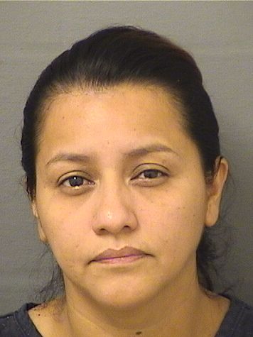  ROSELIA MARILU CHANCHAVACSANCHEZ Results from Palm Beach County Florida for  ROSELIA MARILU CHANCHAVACSANCHEZ