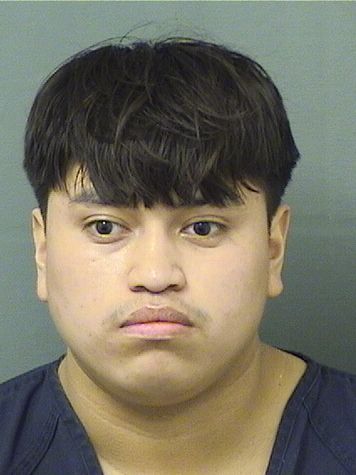  YAHIR RAMIREZPEREZ Results from Palm Beach County Florida for  YAHIR RAMIREZPEREZ