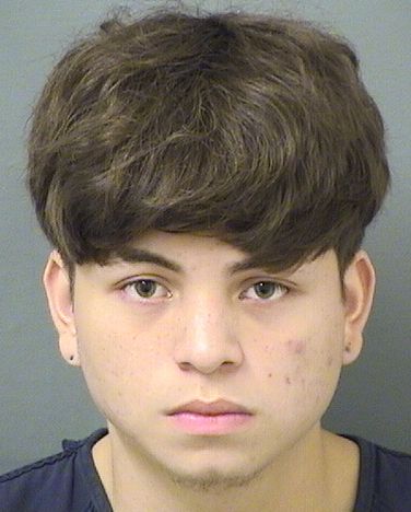  JOSUE NEVADO ALVARADOSAENZ Results from Palm Beach County Florida for  JOSUE NEVADO ALVARADOSAENZ