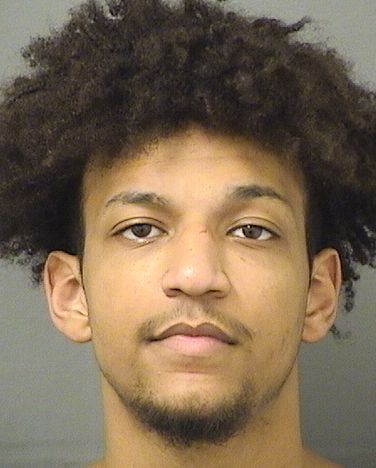  RILEY AIDEN SMITH Results from Palm Beach County Florida for  RILEY AIDEN SMITH