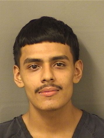  ANGEL J ROMAN Photo For  ANGEL J ROMAN