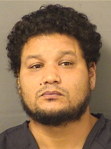  ANDRES FELIPE BOLANO Results from Palm Beach County Florida for  ANDRES FELIPE BOLANO