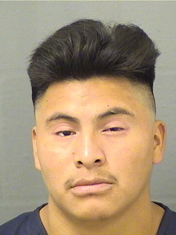  FREDY PEREZ Results from Palm Beach County Florida for  FREDY PEREZ