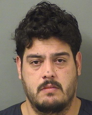  LUIS FELIPE COLON Results from Palm Beach County Florida for  LUIS FELIPE COLON