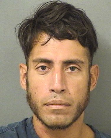  MICHAEL LOUIS BUTZEN Results from Palm Beach County Florida for  MICHAEL LOUIS BUTZEN