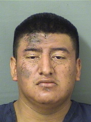  VICTOR L TOJGUARCAS Resultados de la busqueda para Palm Beach County Florida para  VICTOR L TOJGUARCAS