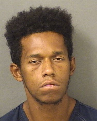  LUCAS COLLINS GUTIERREZ Results from Palm Beach County Florida for  LUCAS COLLINS GUTIERREZ